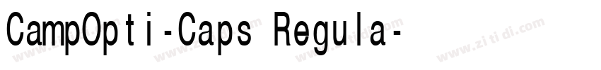 CampOpti-Caps Regula字体转换